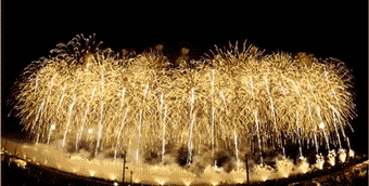 Gif animé feux d'artifices 132
